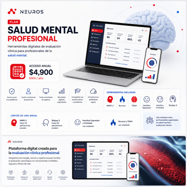 Plan Salud Mental — Profesional